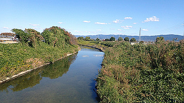 20221026_pa262394_thumb.jpg