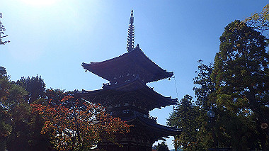 20221026_pa262398_thumb.jpg