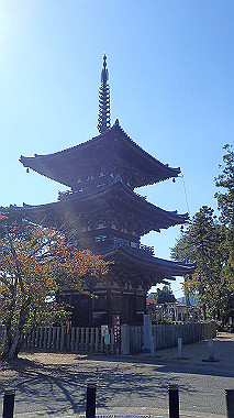 20221026_pa262399_thumb.jpg