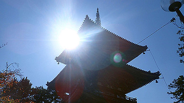 20221026_pa262403_thumb.jpg