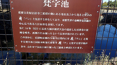 20221026_pa262408_thumb.jpg