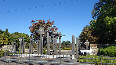 20221026_pa262425_thumb.jpg