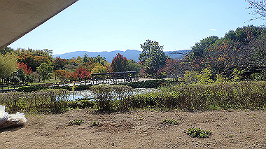 20221026_pa262427_thumb.jpg
