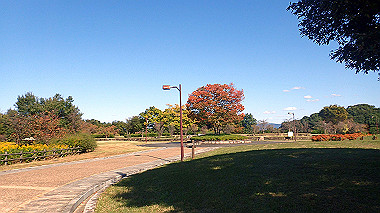 20221026_pa262435_thumb.jpg
