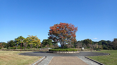 20221026_pa262436_thumb.jpg