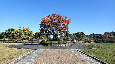 20221026_pa262437_thumb.jpg