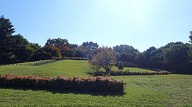 20221026_pa262438_thumb.jpg