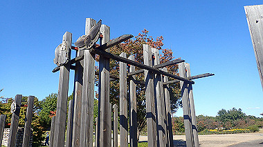 20221026_pa262442_thumb.jpg