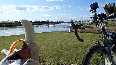 20221026_pa262462_thumb.jpg