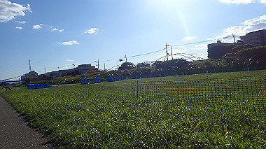 20221026_pa262473_thumb.jpg