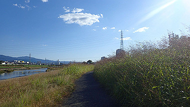 20221026_pa262477_thumb.jpg