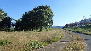 20221026_pa262482_thumb.jpg
