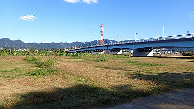 20221026_pa262483_thumb.jpg