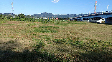 20221026_pa262484_thumb.jpg