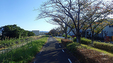 20221026_pa262488_thumb.jpg