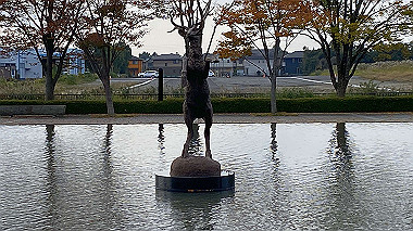 20221104_09-38-34_thumb.jpg