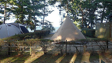 20221104_pb042498_thumb.jpg
