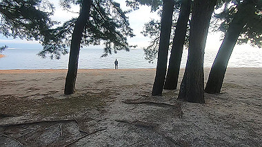 20221105_gx017142.mp4_snapshot_00.41_thumb.jpg