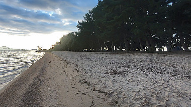20221105_gx017143.mp4_snapshot_00.39_thumb.jpg