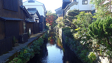 20221105_pb052571_thumb.jpg