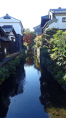 20221105_pb052572_thumb.jpg