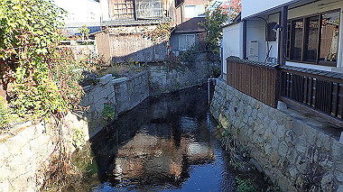 20221105_pb052573_thumb.jpg
