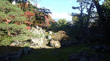 20221105_pb052626_thumb.jpg