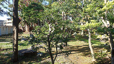 20221105_pb052628_thumb.jpg