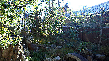 20221105_pb052634_thumb.jpg