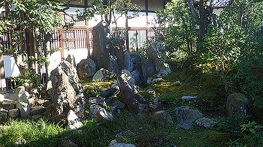20221105_pb052643_thumb.jpg