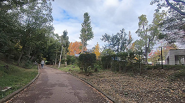 20221114_gx017154.mp4_snap_02.01_thumb.jpg