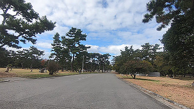 20221114_gx017163.mp4_snap_00.00_thumb.jpg