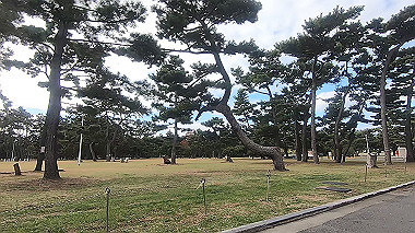 20221114_gx017163.mp4_snap_00.16_thumb.jpg