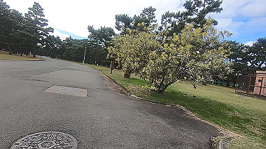 20221114_gx017163.mp4_snap_00.41_thumb.jpg