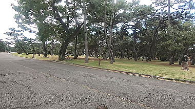 20221114_gx017163.mp4_snap_01.06_thumb.jpg