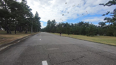20221114_gx017163.mp4_snap_01.21_thumb.jpg