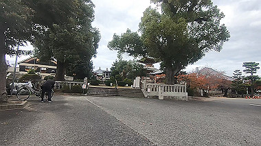 20221114_gx017188.mp4_snap_00.16_thumb.jpg