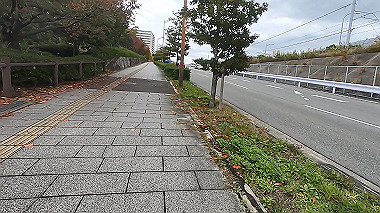 20221114_gx017229.mp4_snap_08.00_thumb.jpg