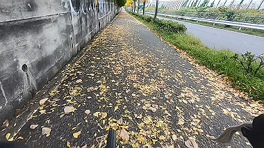20221114_gx017230.mp4_snap_00.14_thumb.jpg