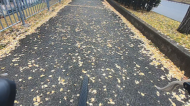 20221114_gx017231.mp4_snap_00.30_thumb.jpg