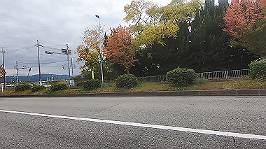 20221114_gx017232.mp4_snap_00.01_thumb.jpg