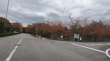 20221114_gx017233.mp4_snap_00.02_thumb.jpg