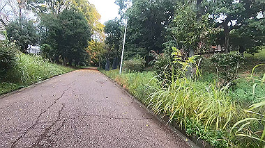 20221114_gx017235.mp4_snap_08.31_thumb.jpg