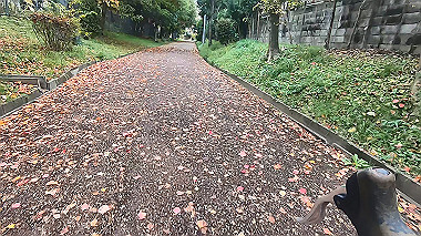 20221114_gx017236.mp4_snap_00.13_thumb.jpg