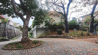 20221114_gx017236.mp4_snap_00.47_thumb.jpg