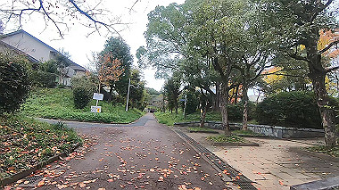 20221114_gx017236.mp4_snap_01.18_thumb.jpg
