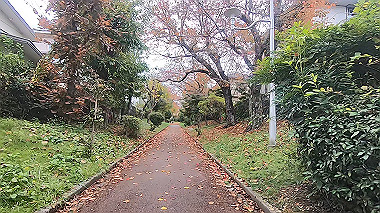 20221114_gx017236.mp4_snap_01.42_thumb.jpg