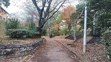 20221114_gx017236.mp4_snap_02.42_thumb.jpg