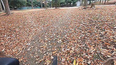 20221114_gx017237.mp4_snap_00.02_thumb.jpg