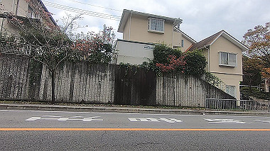 20221114_gx017237.mp4_snap_00.40_thumb.jpg